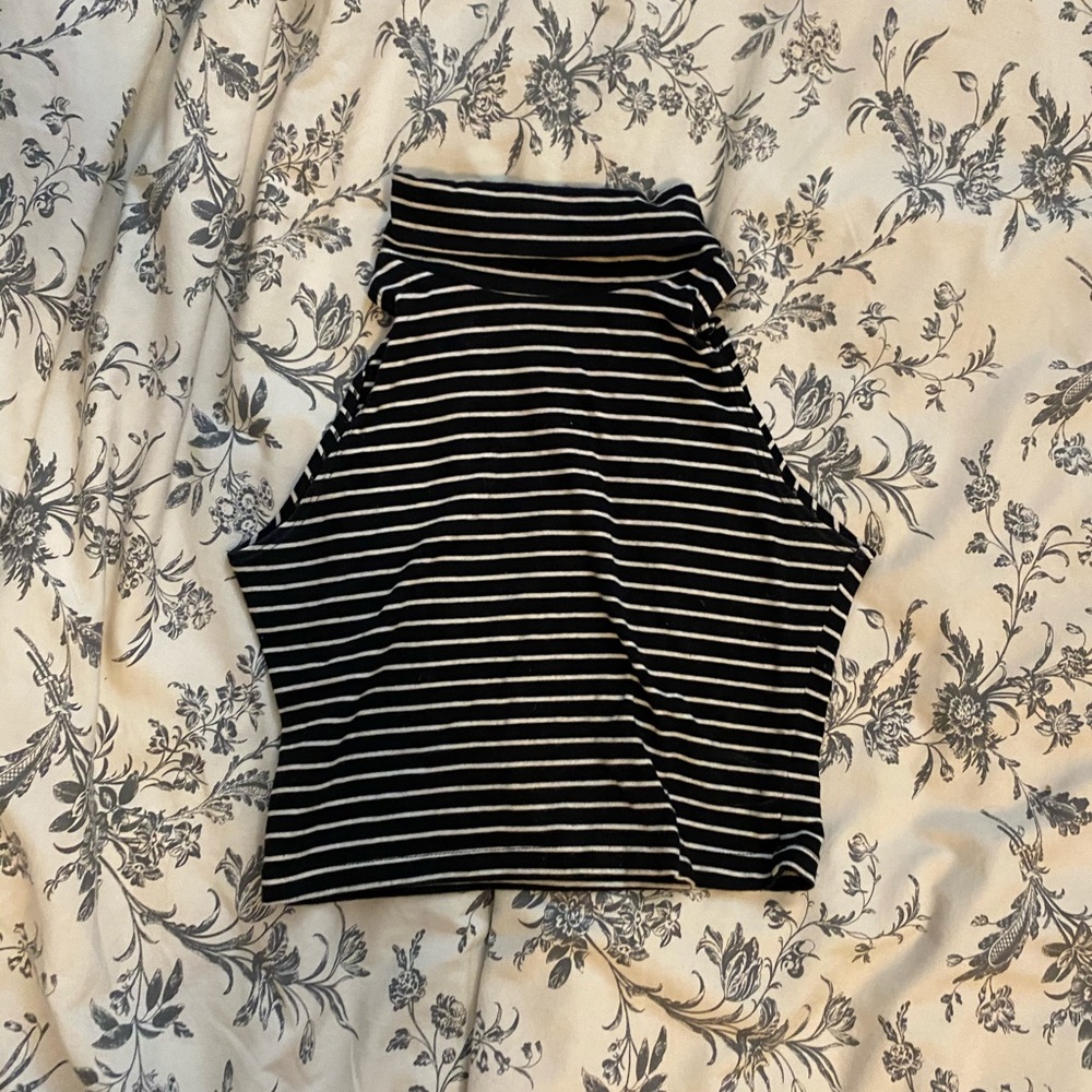 American Apparel Crop Top Turtle Neck